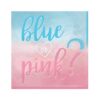 BLUE OR PINK