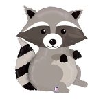 FOIL RACCOON
