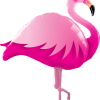 PINK FLAMINGO 1