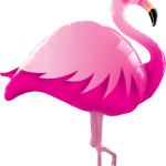 PINK FLAMINGO 1