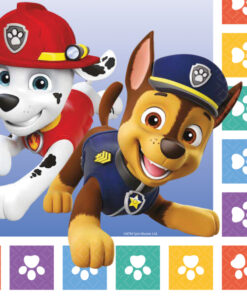 ΧΑΡΤΟΠΕΤΣΕΤΕΣ PAW PATROL