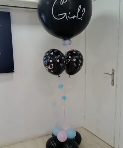 1701258723_0_Mpalonosynthesi-gia-Gender-Reveal.jpg