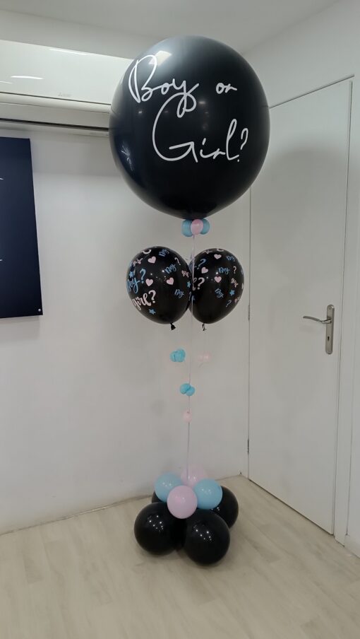 1701258723_0_Mpalonosynthesi-gia-Gender-Reveal.jpg