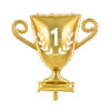 FOIL GOLD TROPHY