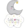 WELCOME TO THE WORLD