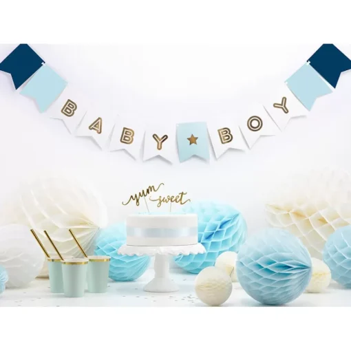 Banner Baby Boy - Image 2