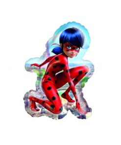 FOIL LADYBUG 1