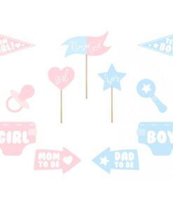 GENDER REVEAL PROPS 2