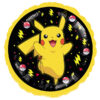 FOIL POKEMON