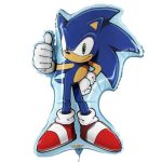 FOIL SONIC