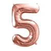ROSE GOLD NO 5