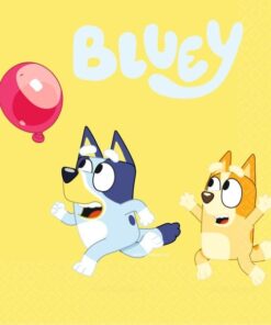 XARTOPETSETES BLUEY