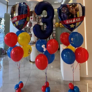 PAW PATROL BALLONS